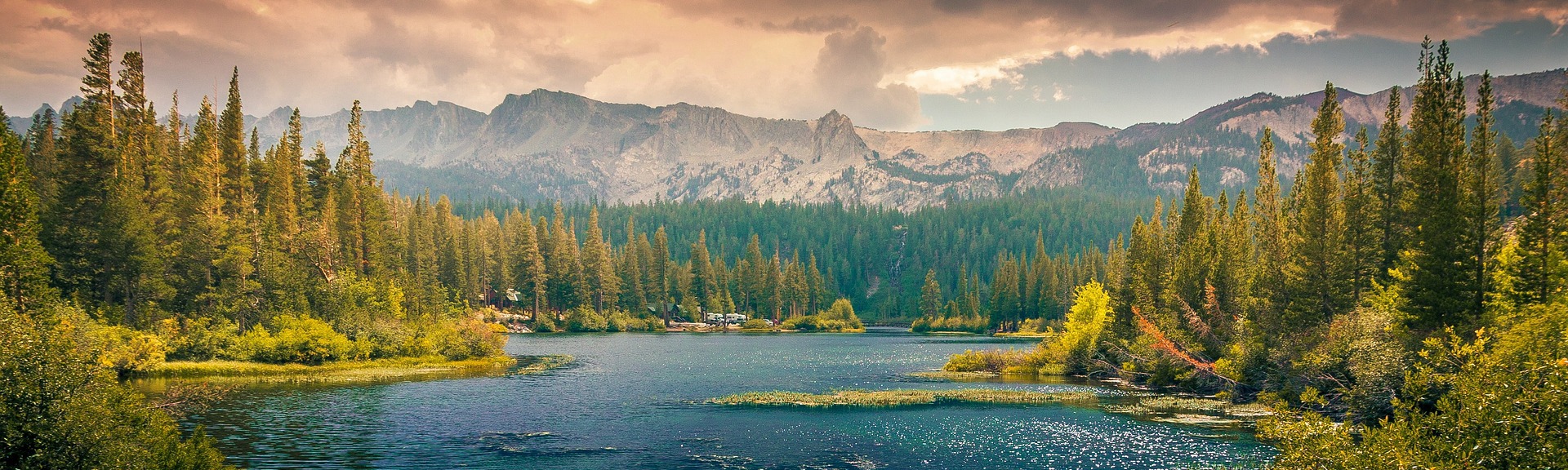 Igazgatásszervezés - kozig.net